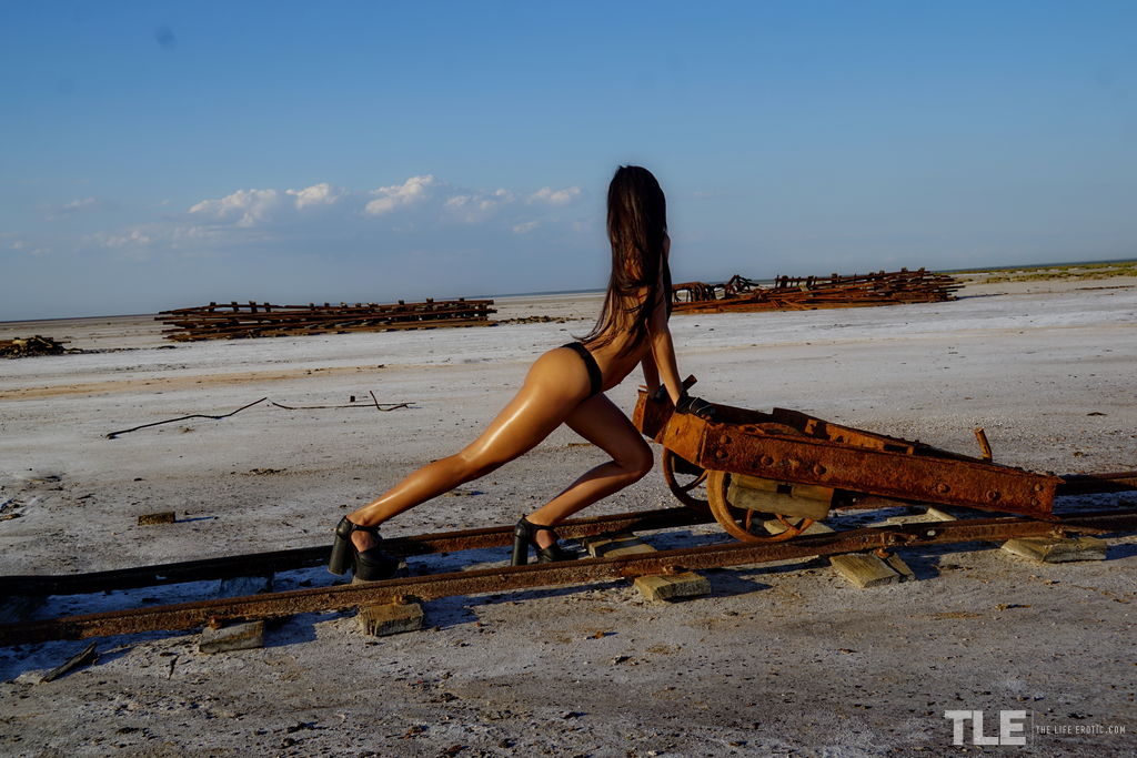 Husky sexual play of solo model