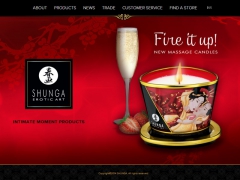 Shunga Erotic Art