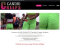 Candid Creeps
