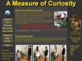 A Measure of Curiosity