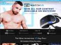 Virtual Real Gay